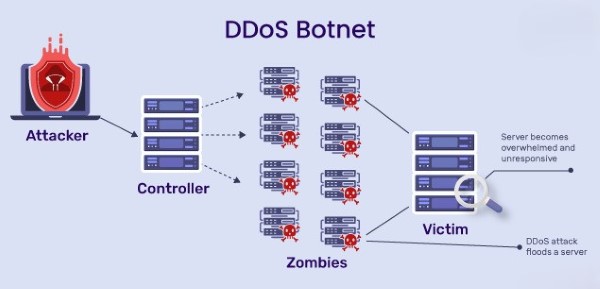 DDoS Botnet là gì?