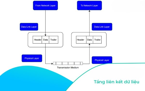 Tầng 2 - Data Link Layer (Tầng liên kết)