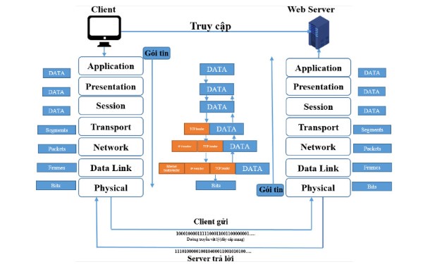 Quy trình hoạt động của mô hình OSI