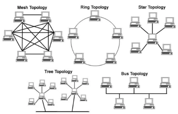 Cấu trúc liên kết của network là gì?