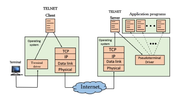 Cấu trúc cơ bản của Telnet là gì?