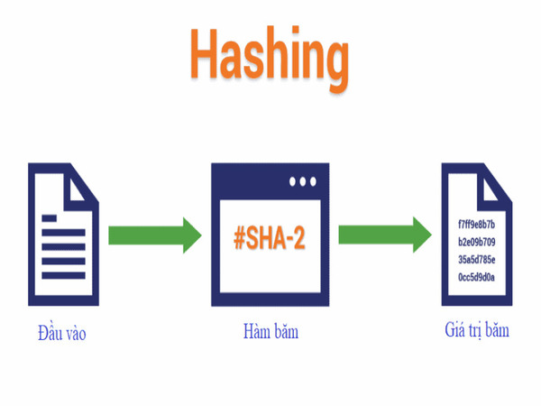 Phương pháp mã hóa trong SSH là gì? Mã hóa Hashing