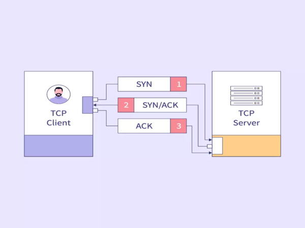 Vai trò của giao thức TCP