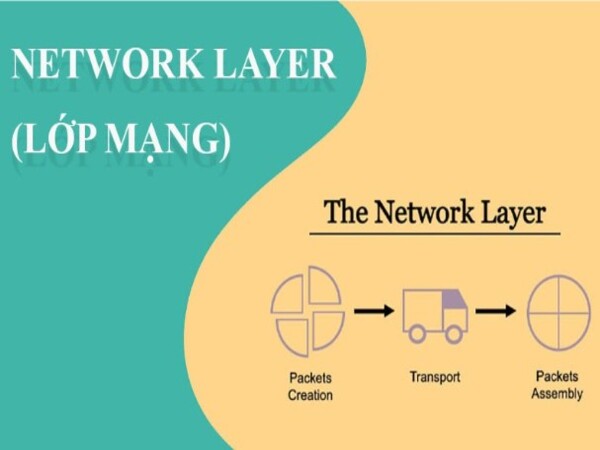 Network Layer (Lớp mạng)