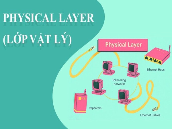 Physical Layer (Lớp vật lý)