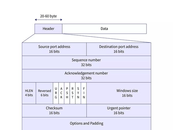 Cấu trúc Header của giao thức UDP là gì?