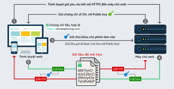 Cách hoạt động của chứng chỉ SSL