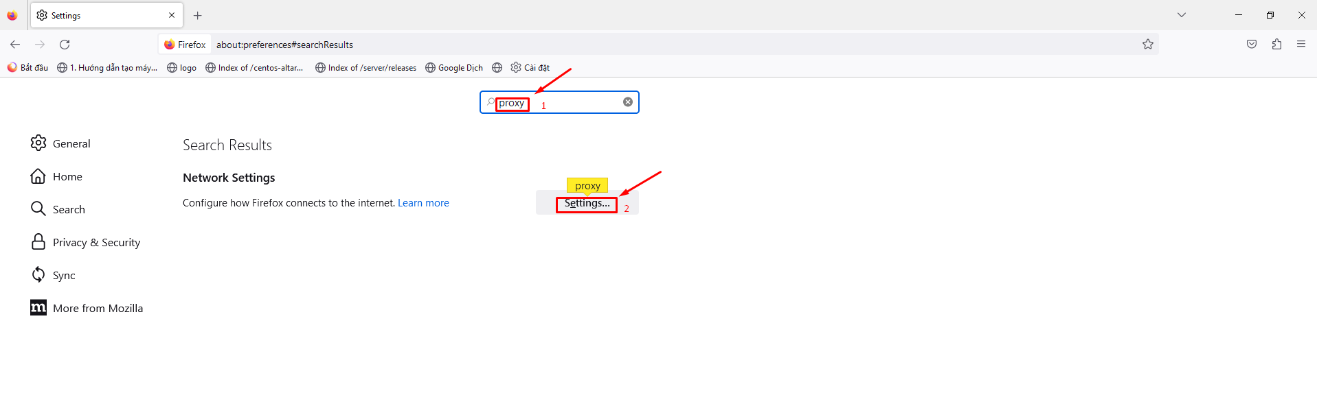 Nhập ký tự Proxy và nhấn tiếp vào nút Setting