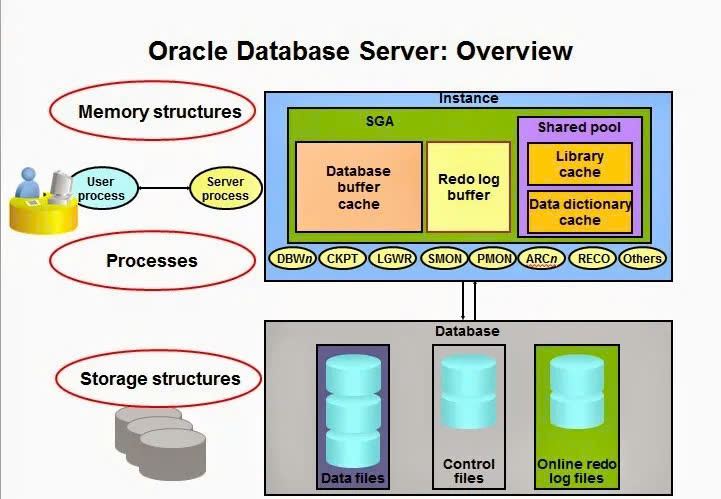 Kiến trúc của hệ quản trị cơ sở dữ liệu Oracle là gì?