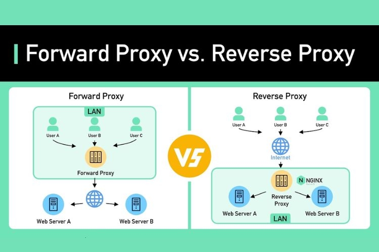 So sánh Reverse Proxy và Forward Proxy