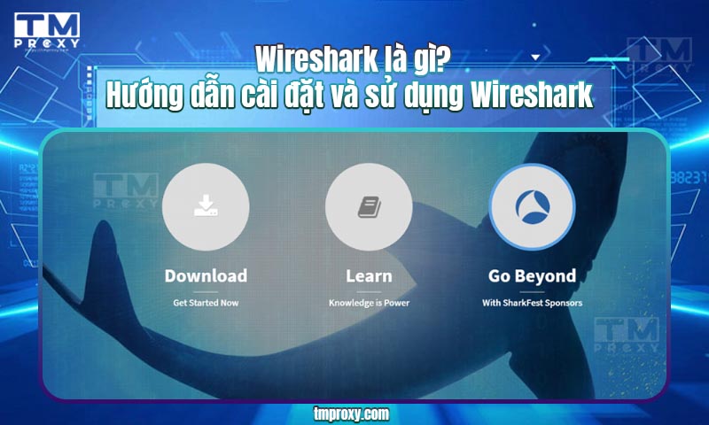 Wireshark là gì?  Hướng dẫn cài đặt và sử dụng Wireshark