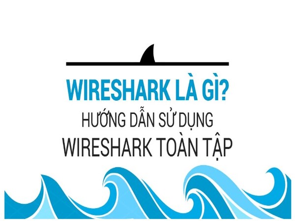 Hướng dẫn cài đặt và sử dụng Wireshark chi tiết nhất