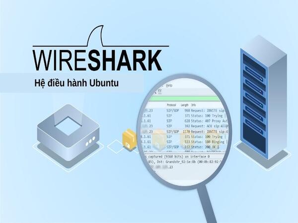 Hướng dẫn tải Wireshark trên hệ điều hành Ubuntu