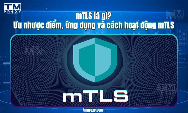 mTLS là gì? Ưu nhược điểm, ứng dụng và cách hoạt động mTLS